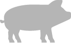 Grupo 11412