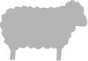 Grupo 11413