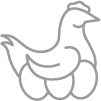 Gallina-Ponedora