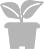 Plantas-de-maceta-farming-cultivo