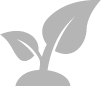 flores-cortadas-farming-cultivo